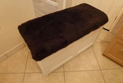 Children`s toy box with seating