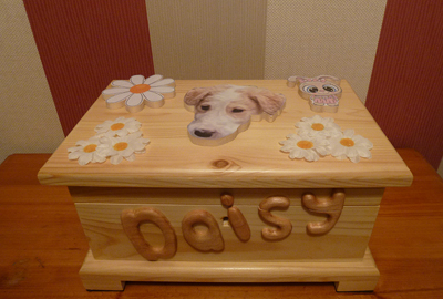  Daisy's themed box