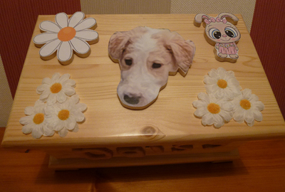  Daisy's themed box