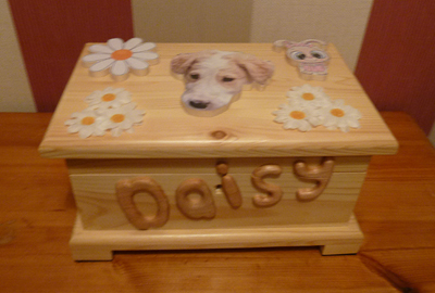 Daisy's themed box
