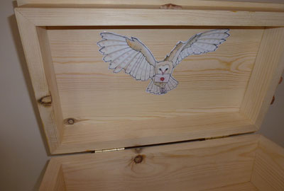 The Harry Potter box