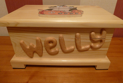 Welly's 'pirate' themed box