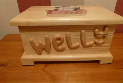 Welly's 'pirate' themed box